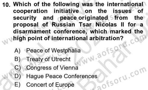 International Politics Dersi 2023 - 2024 Yılı (Vize) Ara Sınav Soruları 10. Soru