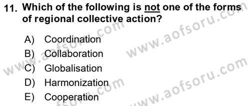 International Politics Dersi 2023 - 2024 Yılı (Vize) Ara Sınav Soruları 11. Soru