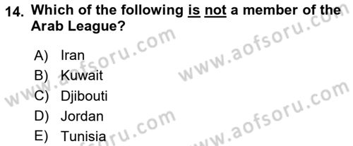 International Politics Dersi 2023 - 2024 Yılı (Vize) Ara Sınav Soruları 14. Soru