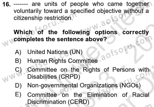 International Politics Dersi 2023 - 2024 Yılı (Vize) Ara Sınav Soruları 16. Soru
