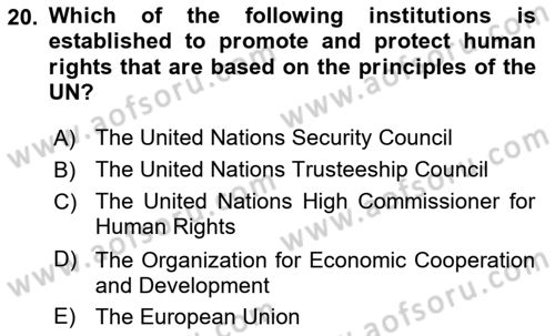 International Politics Dersi 2023 - 2024 Yılı (Vize) Ara Sınav Soruları 20. Soru
