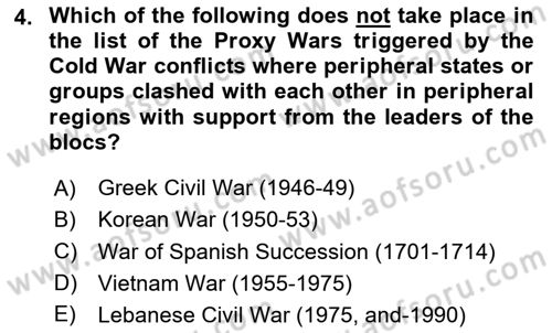International Politics Dersi 2023 - 2024 Yılı (Vize) Ara Sınav Soruları 4. Soru