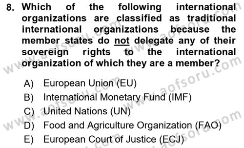 International Politics Dersi 2023 - 2024 Yılı (Vize) Ara Sınav Soruları 8. Soru