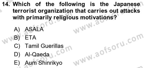 International Politics Dersi 2023 - 2024 Yılı (Final) Dönem Sonu Sınav Soruları 14. Soru