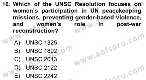 International Politics Dersi 2023 - 2024 Yılı (Final) Dönem Sonu Sınav Soruları 16. Soru