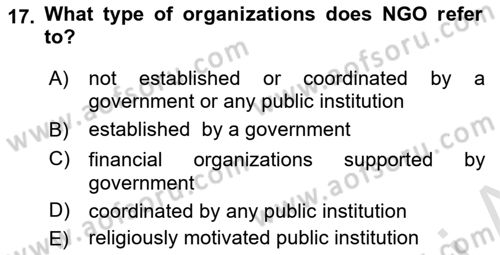 International Politics Dersi 2023 - 2024 Yılı (Final) Dönem Sonu Sınav Soruları 17. Soru