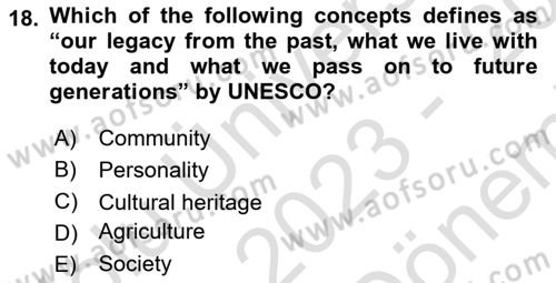 International Politics Dersi 2023 - 2024 Yılı (Final) Dönem Sonu Sınav Soruları 18. Soru
