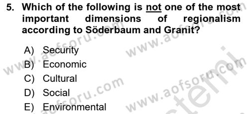 International Politics Dersi 2023 - 2024 Yılı (Final) Dönem Sonu Sınav Soruları 5. Soru
