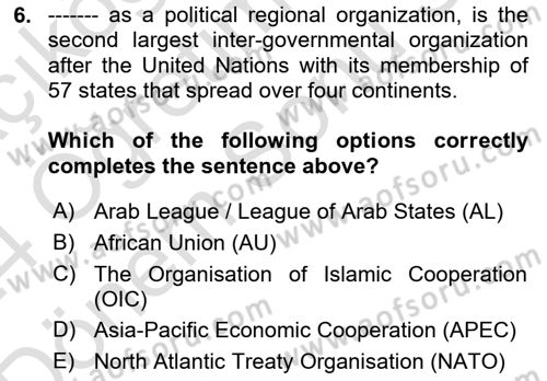 International Politics Dersi 2023 - 2024 Yılı (Final) Dönem Sonu Sınav Soruları 6. Soru