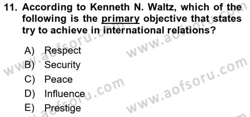 International Politics Dersi 2023 - 2024 Yılı Yaz Okulu Sınav Soruları 11. Soru