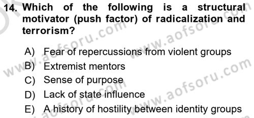 International Politics Dersi 2023 - 2024 Yılı Yaz Okulu Sınav Soruları 14. Soru