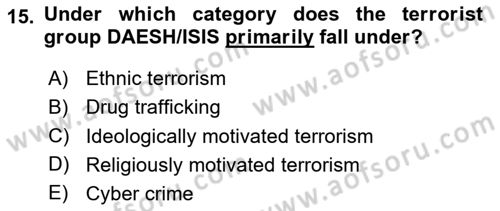 International Politics Dersi 2023 - 2024 Yılı Yaz Okulu Sınav Soruları 15. Soru