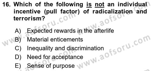 International Politics Dersi 2023 - 2024 Yılı Yaz Okulu Sınav Soruları 16. Soru