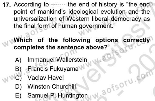 International Politics Dersi 2023 - 2024 Yılı Yaz Okulu Sınav Soruları 17. Soru