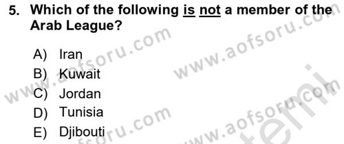 International Politics Dersi 2023 - 2024 Yılı Yaz Okulu Sınav Soruları 5. Soru