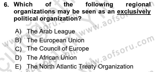 International Politics Dersi 2023 - 2024 Yılı Yaz Okulu Sınav Soruları 6. Soru