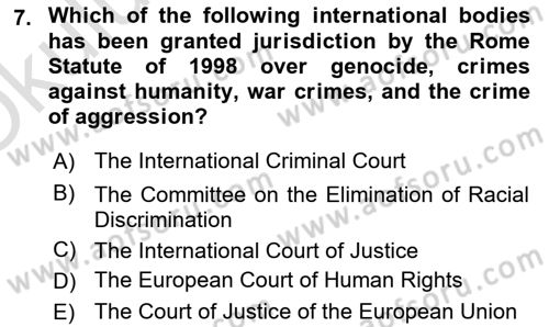 International Politics Dersi 2023 - 2024 Yılı Yaz Okulu Sınav Soruları 7. Soru