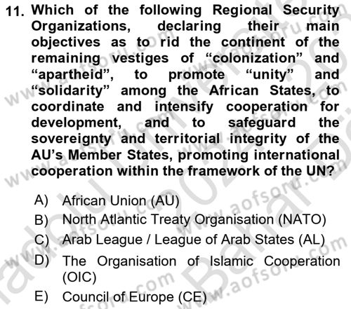 International Politics Dersi 2024 - 2025 Yılı (Vize) Ara Sınav Soruları 11. Soru