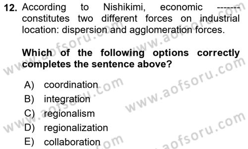 International Politics Dersi 2024 - 2025 Yılı (Vize) Ara Sınav Soruları 12. Soru