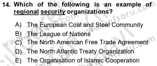 International Politics Dersi 2024 - 2025 Yılı (Vize) Ara Sınav Soruları 14. Soru