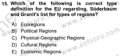 International Politics Dersi 2024 - 2025 Yılı (Vize) Ara Sınav Soruları 15. Soru