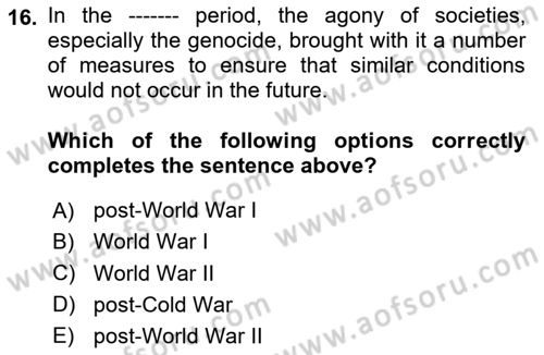 International Politics Dersi 2024 - 2025 Yılı (Vize) Ara Sınav Soruları 16. Soru
