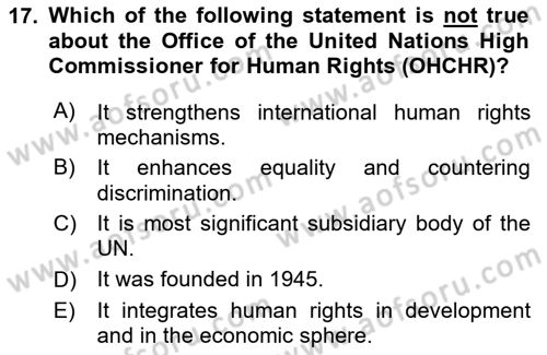 International Politics Dersi 2024 - 2025 Yılı (Vize) Ara Sınav Soruları 17. Soru
