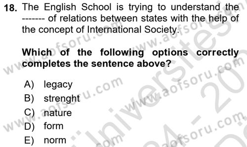 International Politics Dersi 2024 - 2025 Yılı (Vize) Ara Sınav Soruları 18. Soru