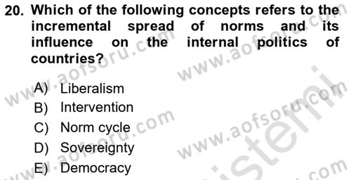 International Politics Dersi 2024 - 2025 Yılı (Vize) Ara Sınav Soruları 20. Soru