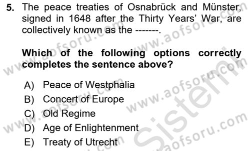 International Politics Dersi 2024 - 2025 Yılı (Vize) Ara Sınav Soruları 5. Soru