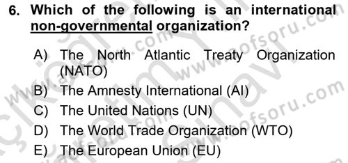 International Politics Dersi 2024 - 2025 Yılı (Vize) Ara Sınav Soruları 6. Soru