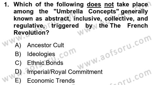 International Politics Dersi 2024 - 2025 Yılı (Final) Dönem Sonu Sınav Soruları 1. Soru