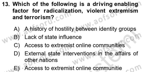 International Politics Dersi 2024 - 2025 Yılı (Final) Dönem Sonu Sınav Soruları 13. Soru