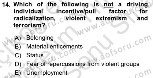 International Politics Dersi 2024 - 2025 Yılı (Final) Dönem Sonu Sınav Soruları 14. Soru