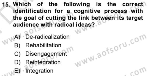 International Politics Dersi 2024 - 2025 Yılı (Final) Dönem Sonu Sınav Soruları 15. Soru
