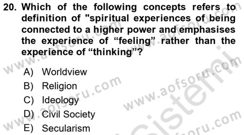International Politics Dersi 2024 - 2025 Yılı (Final) Dönem Sonu Sınav Soruları 20. Soru