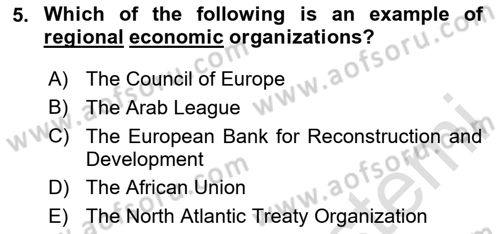 International Politics Dersi 2024 - 2025 Yılı (Final) Dönem Sonu Sınav Soruları 5. Soru