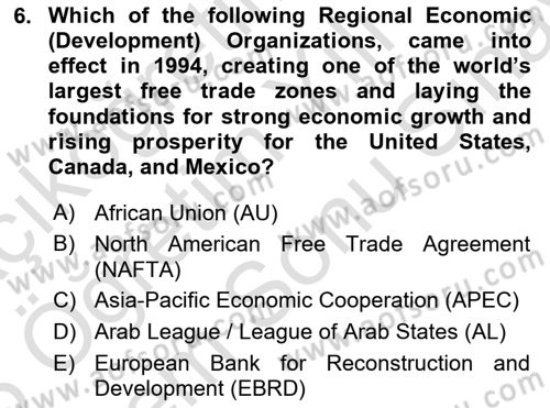 International Politics Dersi 2024 - 2025 Yılı (Final) Dönem Sonu Sınav Soruları 6. Soru