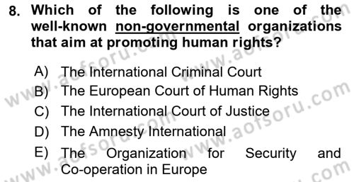 International Politics Dersi 2024 - 2025 Yılı (Final) Dönem Sonu Sınav Soruları 8. Soru