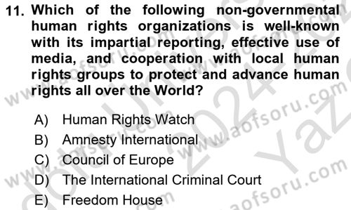 International Politics Dersi 2024 - 2025 Yılı Yaz Okulu Sınav Soruları 11. Soru