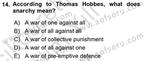 International Politics Dersi 2024 - 2025 Yılı Yaz Okulu Sınav Soruları 14. Soru