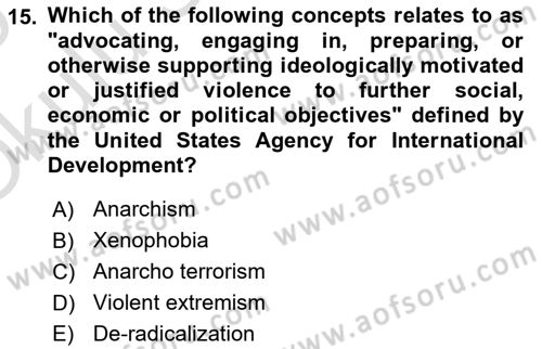 International Politics Dersi 2024 - 2025 Yılı Yaz Okulu Sınav Soruları 15. Soru