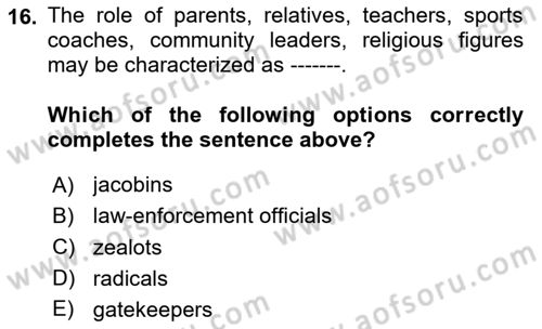 International Politics Dersi 2024 - 2025 Yılı Yaz Okulu Sınav Soruları 16. Soru