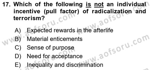 International Politics Dersi 2024 - 2025 Yılı Yaz Okulu Sınav Soruları 17. Soru