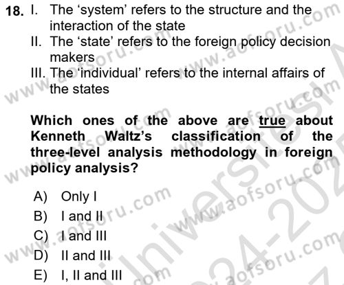 International Politics Dersi 2024 - 2025 Yılı Yaz Okulu Sınav Soruları 18. Soru