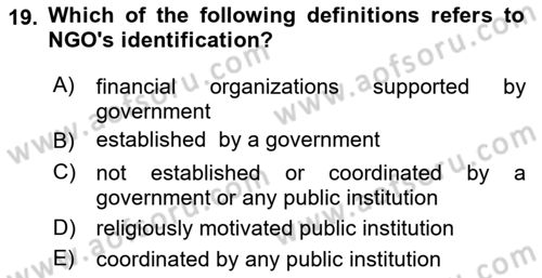 International Politics Dersi 2024 - 2025 Yılı Yaz Okulu Sınav Soruları 19. Soru