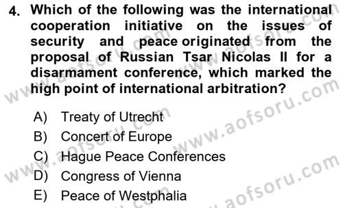 International Politics Dersi 2024 - 2025 Yılı Yaz Okulu Sınav Soruları 4. Soru