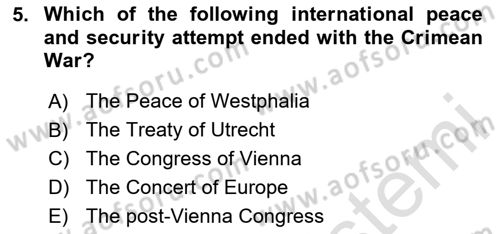 International Politics Dersi 2024 - 2025 Yılı Yaz Okulu Sınav Soruları 5. Soru