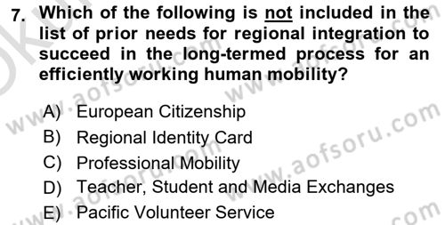 International Politics Dersi 2024 - 2025 Yılı Yaz Okulu Sınav Soruları 7. Soru