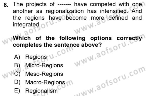International Politics Dersi 2024 - 2025 Yılı Yaz Okulu Sınav Soruları 8. Soru